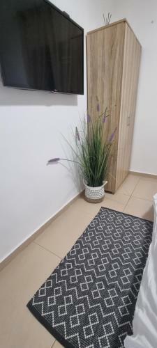 Shoham Apartment