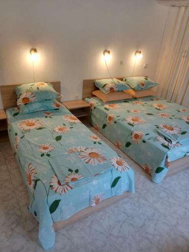Vacation House Liana - Ahtopol