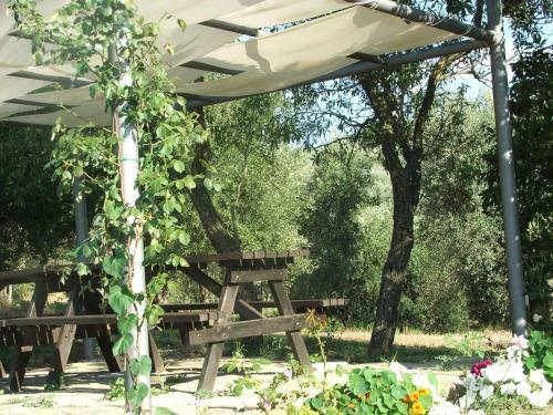 Apartamento La Pietraia