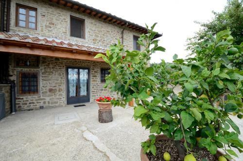 Villa Iris