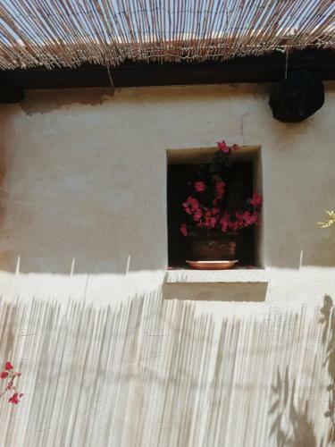 Bed & Breakfast La Petrusa