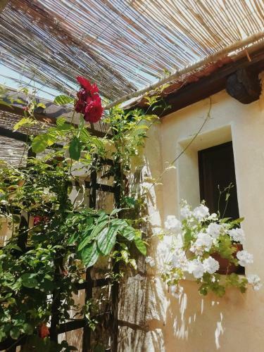Bed & Breakfast La Petrusa
