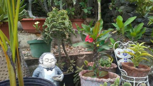Apartamento Belgrade Garden Paradise