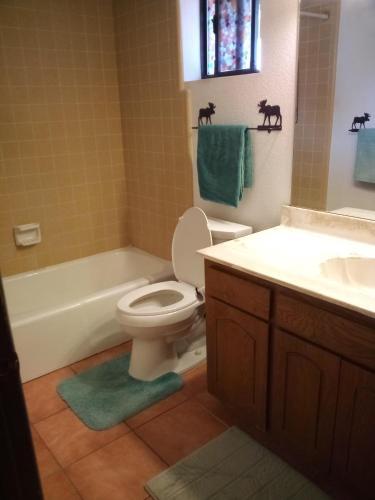 Dog Friendly ~ People Friendly Gilbert Gem