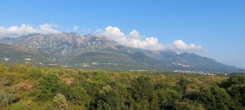 Apartman - Tivat