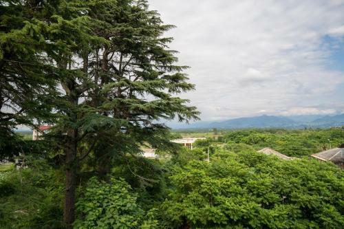 Hostal Park Zone Hotel