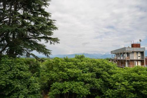 Hostal Park Zone Hotel