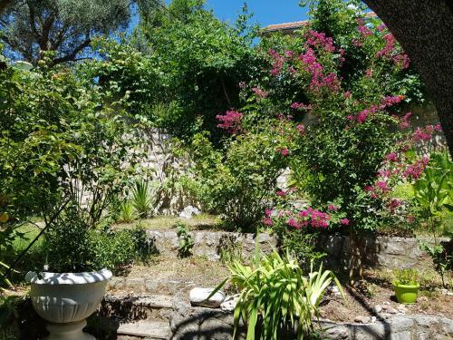Apartamento Vila Rajko