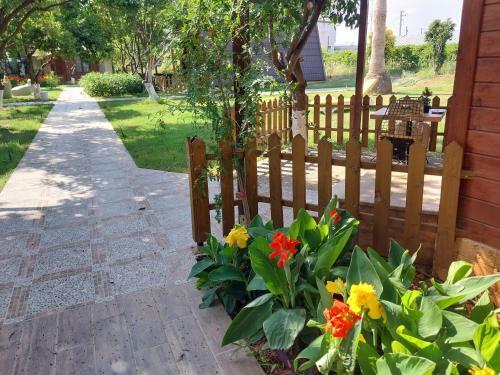 Bed & Breakfast Miss Mandarin Bungalow Evleri