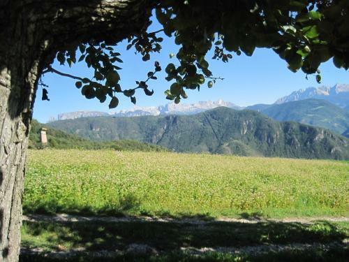 Agroturismo Haflingerhof