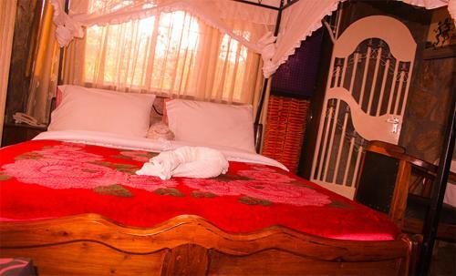 Ango Tree Hotel