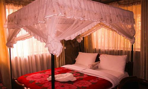 Ango Tree Hotel