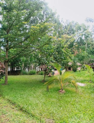 Hotel Ndamarosa River Park Resort