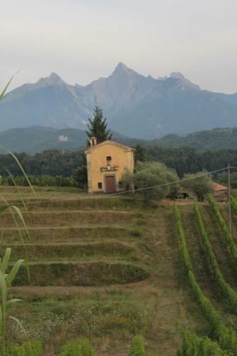 Agroturismo Agriturismo Il Bardellino