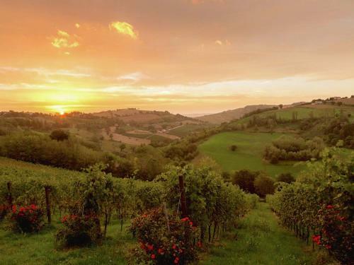 Holiday Home Gelsomino Montecarotto