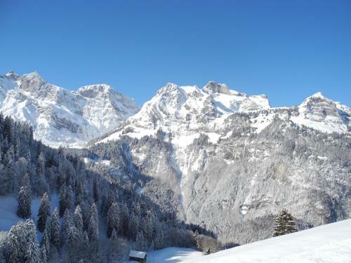 Posada Gasthaus Schwand