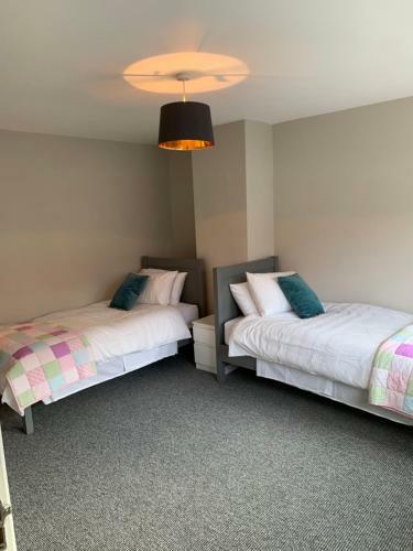 Relaunched - City Centre Plush Pad