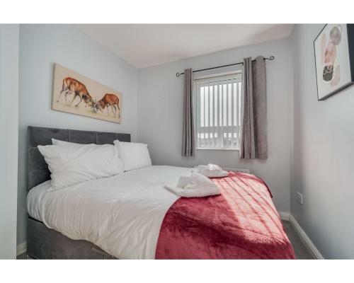 Central Belfast Apartments: Cromwell