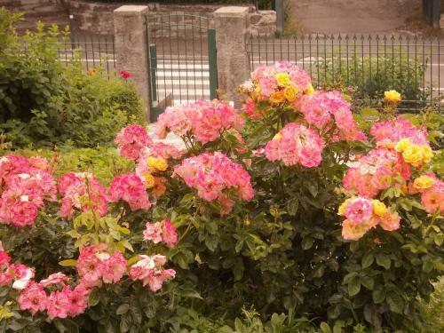 Bed & Breakfast Villa Costanza