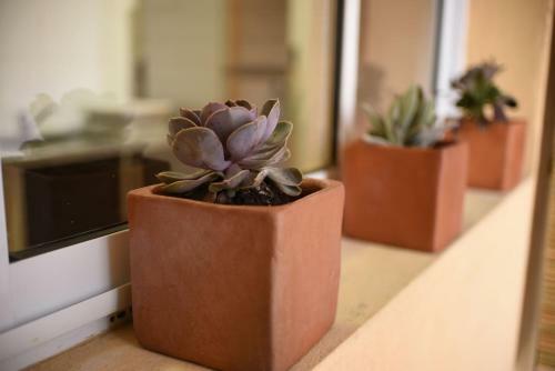 Apartamento Nice Alem