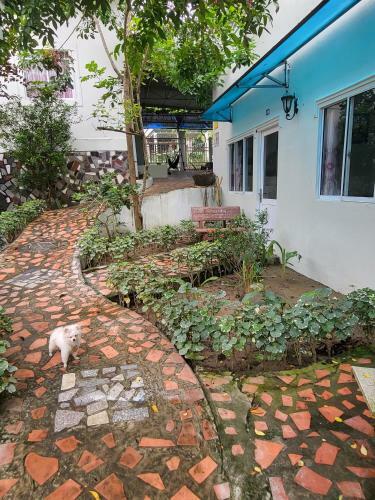 Bed & Breakfast Davi Hostel