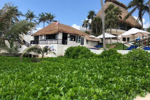 Apartamento Casa Ixchel