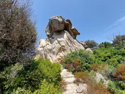 Locazione Turistica Van Gogh