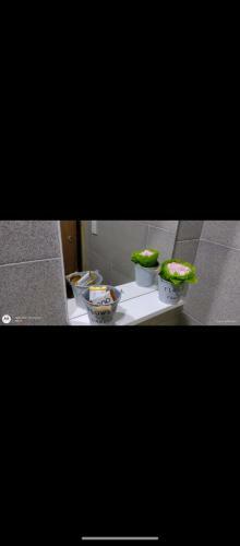 Apartamento Los Ciruelos