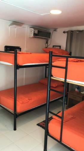 Hostal Casa Nativa Missluz