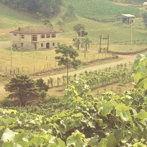 Casa De Campo Prov�ncia Minosso