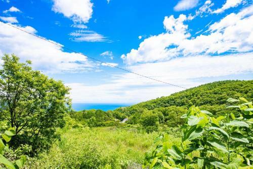 The Harukayama Base - Vacation Stay 13233