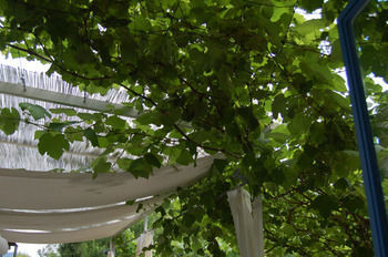 Bed & Breakfast La Pergola Dei Paggi