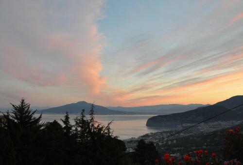 Bed & Breakfast Casa Gaia Sorrento Bio Vacanze