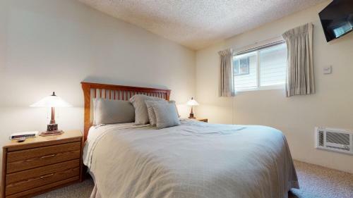 Mammoth View Villas