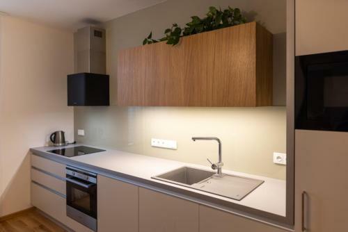 Apartm�n Elegant Litomy?l