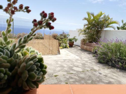 Apartamento Casa El Drago