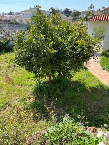 Spacious House With Private Swimming Pool In Costa Daurada