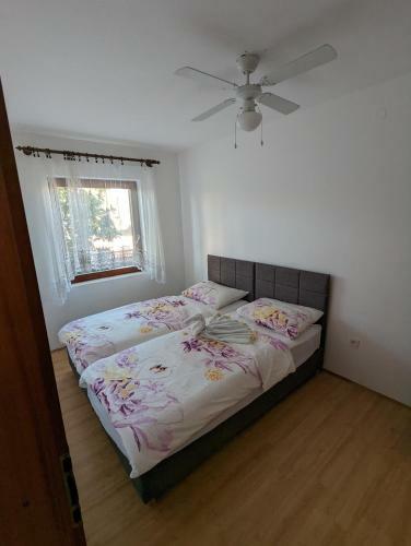 Apartments Magnolija