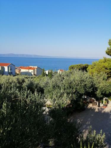 Apartamento Stella Mare