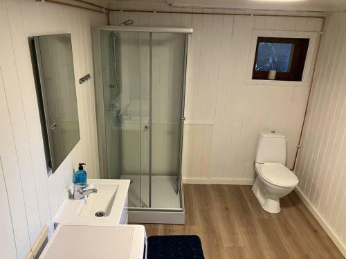 Reine Apartment