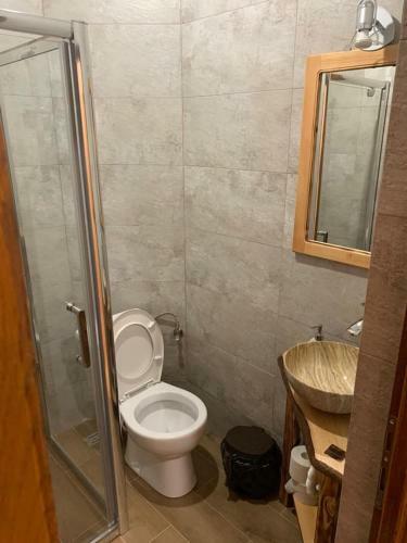 Hostal Popasul Vanatorului