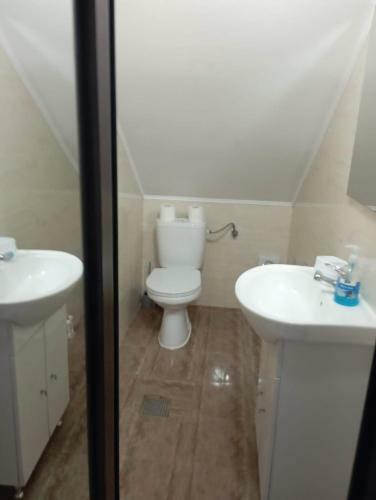 Hostal 11b