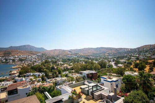 House With Mesmerizing View In Gokturkbuku