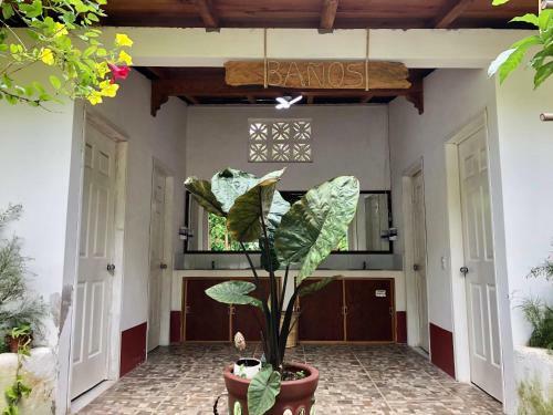 Huitzilin Hostal