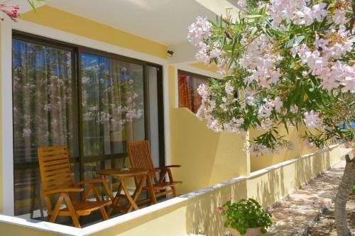 Apartamento Alexandra Studio 3