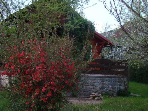 Liget Kulcsosh�z