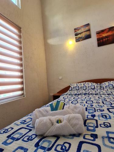 Hostal Casa Savi