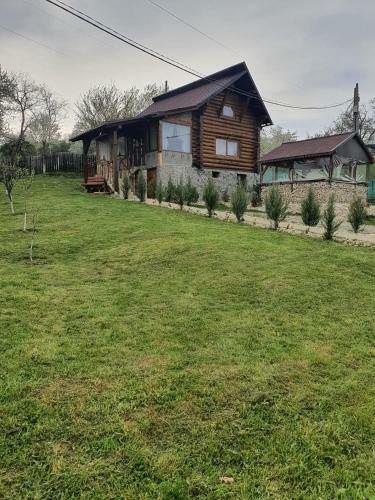 Cabana Lui Andrei