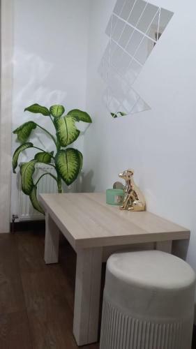 Dove Apartment