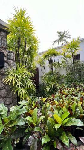 Lovely Tropical Villa Short Walk From Surin Beach
